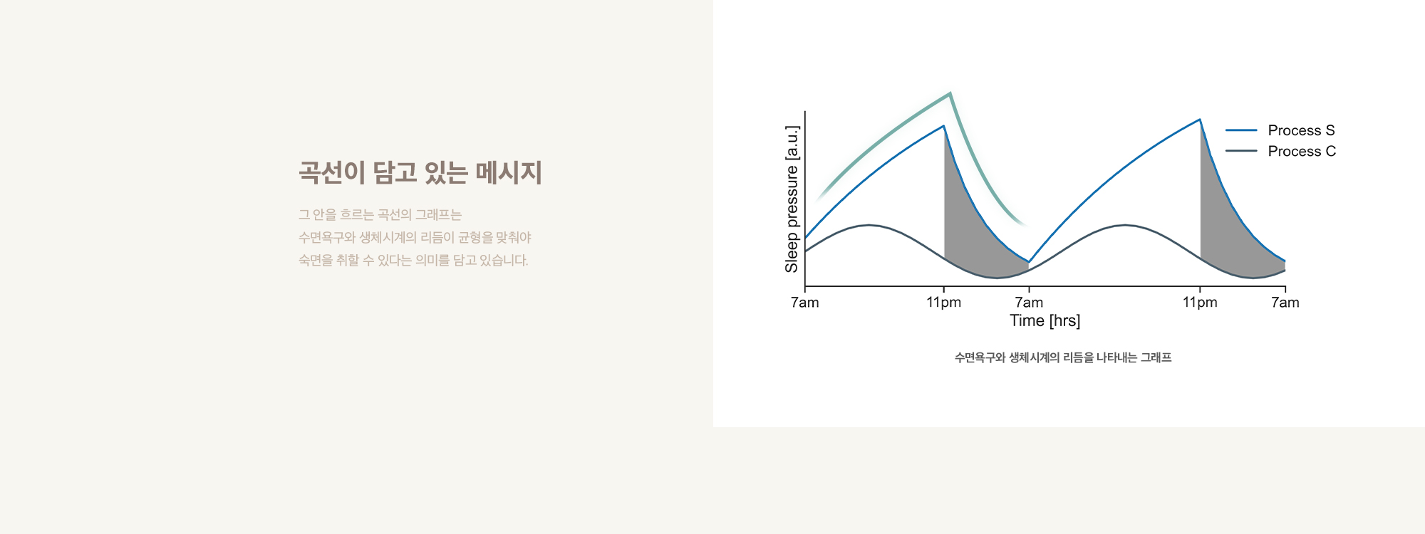 곡선이 담고 있는 메시지